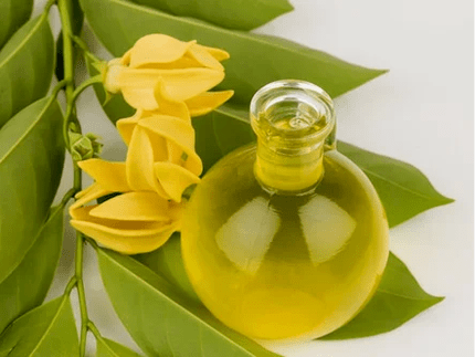 Aromatherapy to improve efficiency