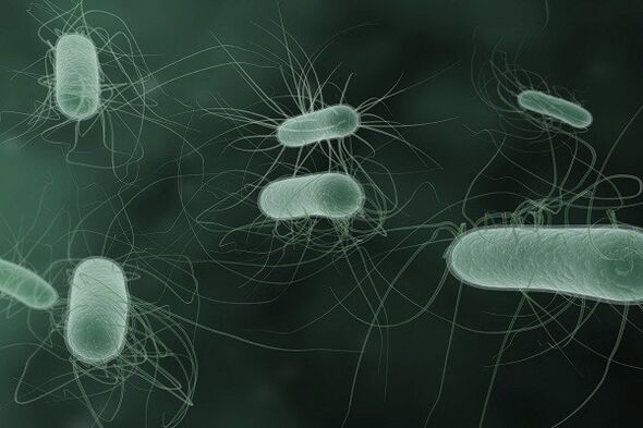 microorganisms that cause abnormal discharge when excited